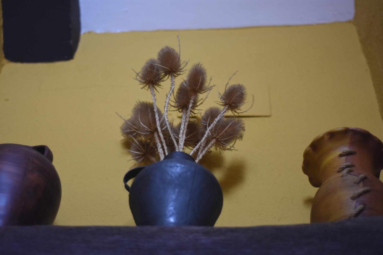 Casa Rural De Estilo Rustico Con Spa Almagro Extérieur photo